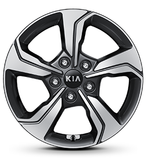16-inch 205/55 R16 Alloy Wheel_Dark Metal Gray