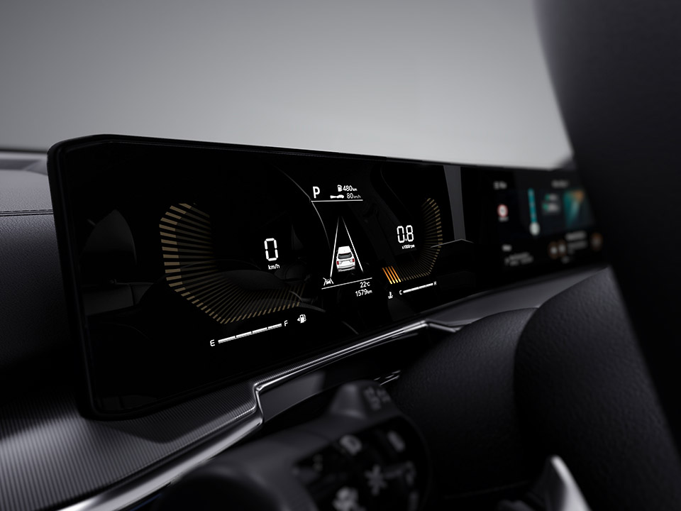 Supervision cluster (4.2” color TFT LCD)