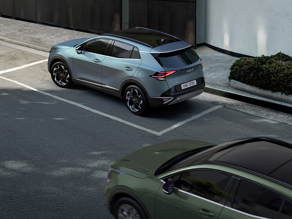 Safe Exit Warning (SEW)