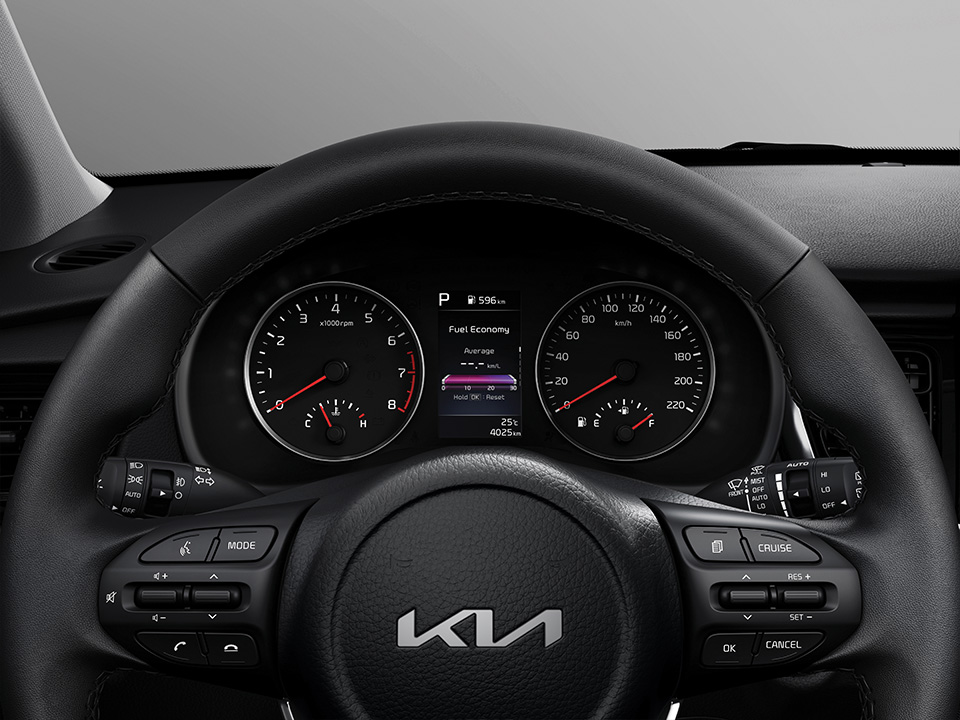 Supervision cluster with 4.2-inch LCD screen