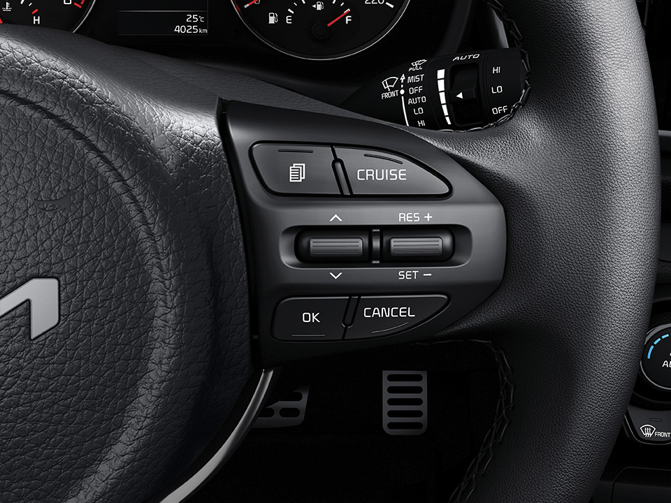 Speed limiter / Auto cruise control