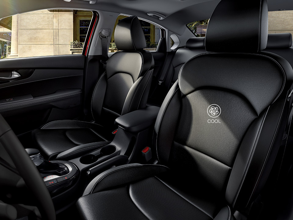 Power seats & lumbar support