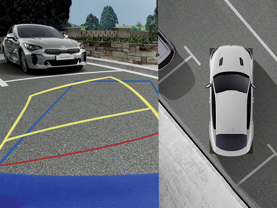Around View Monitor (AVM) with Parking Guidance