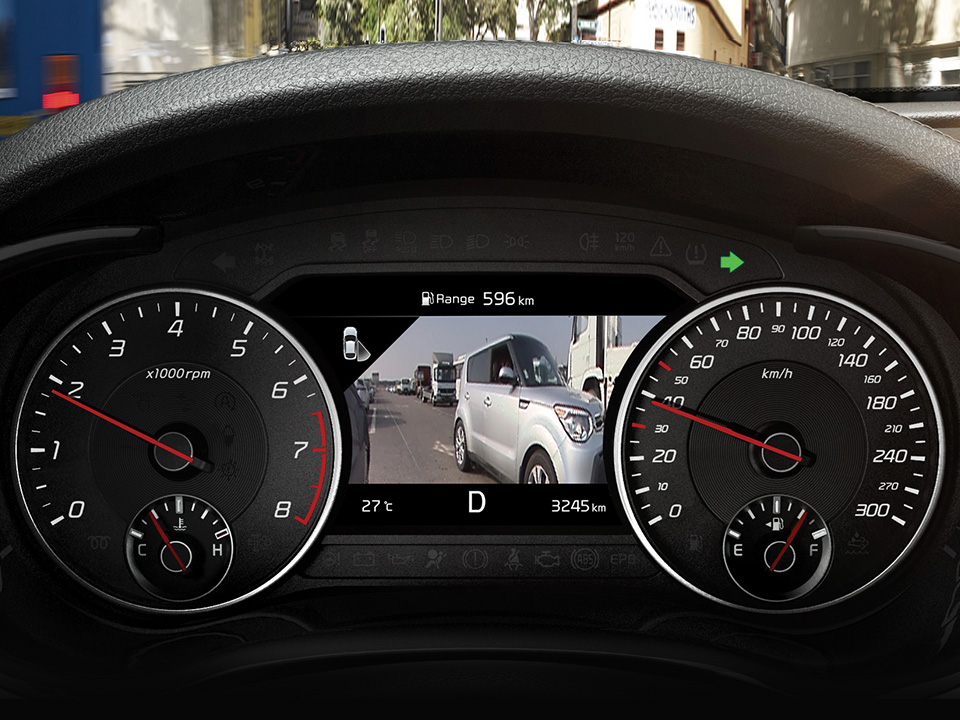 Blind-Spot View Monitor (BVM)