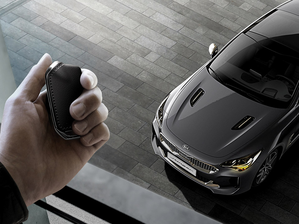 Remote start-up (Available only in certain countries)